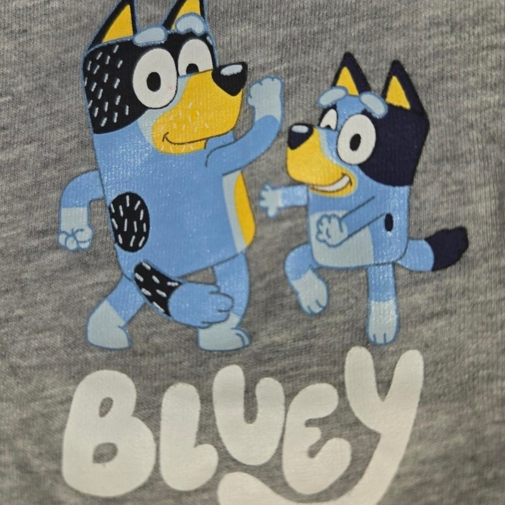 Bluey Kids Short Sleeve Tee - Gray